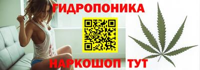 прущие крисы Абакан