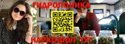 прущие крисы Абакан