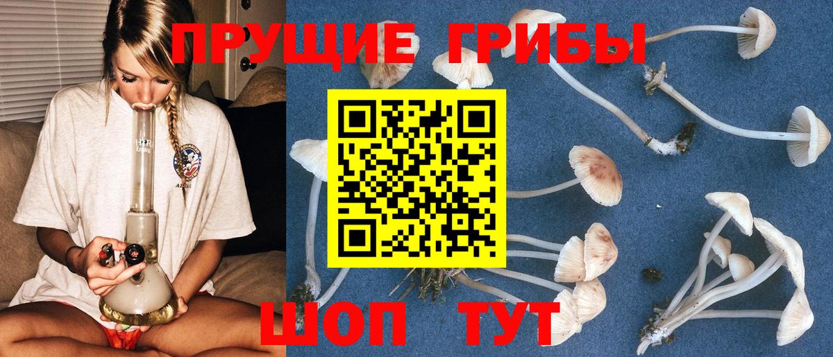 Галлюциногенные грибы Cubensis  цены наркотик  Вход с VPN  Алушта  Галлюциногенные грибы Psilocybe 