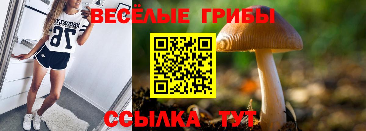 Псилоцибиновые грибы Cubensis Алушта